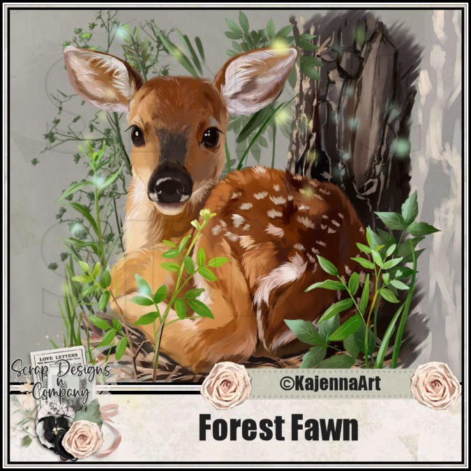 (image for) Forest Fawn